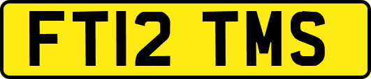 FT12TMS