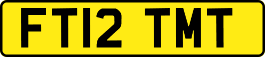 FT12TMT