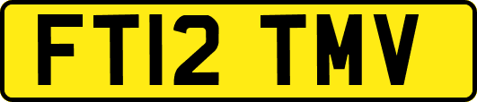 FT12TMV