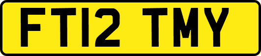 FT12TMY