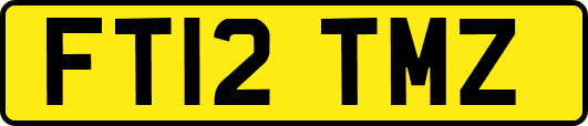 FT12TMZ
