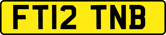 FT12TNB