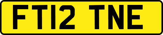 FT12TNE