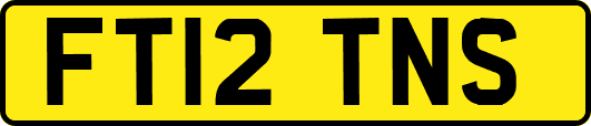 FT12TNS
