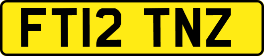FT12TNZ