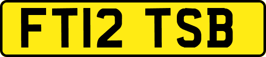 FT12TSB