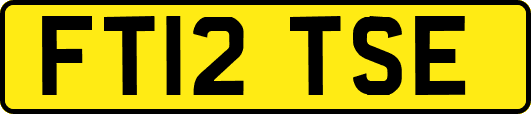 FT12TSE