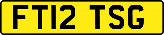FT12TSG