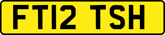 FT12TSH