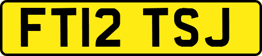 FT12TSJ