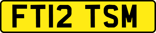 FT12TSM