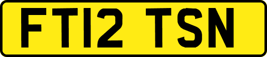 FT12TSN