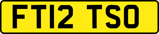 FT12TSO