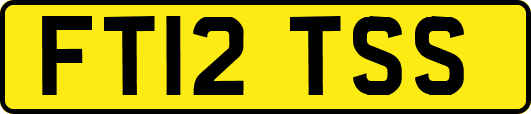 FT12TSS