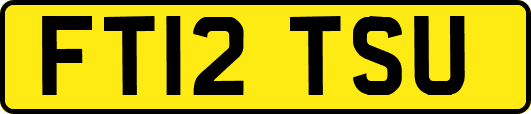 FT12TSU