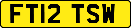 FT12TSW