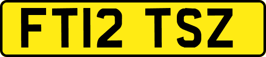 FT12TSZ