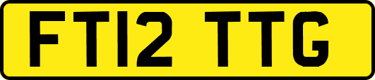 FT12TTG