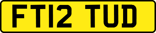 FT12TUD