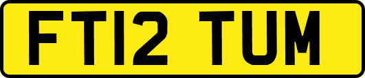 FT12TUM
