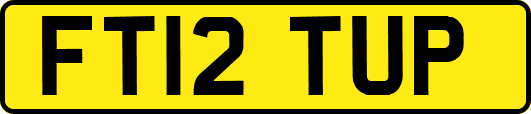 FT12TUP