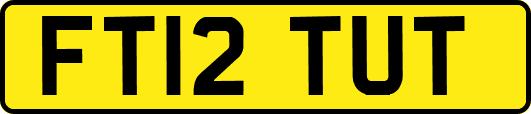 FT12TUT