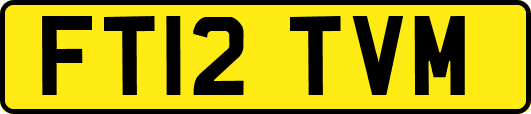 FT12TVM