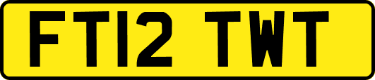 FT12TWT