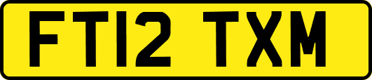 FT12TXM