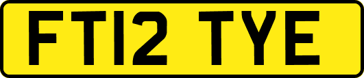FT12TYE