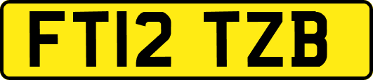 FT12TZB