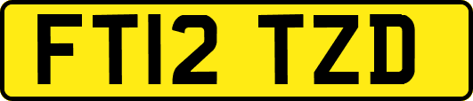 FT12TZD