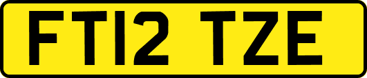 FT12TZE