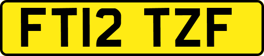 FT12TZF