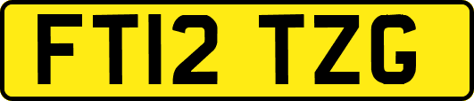 FT12TZG