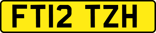 FT12TZH