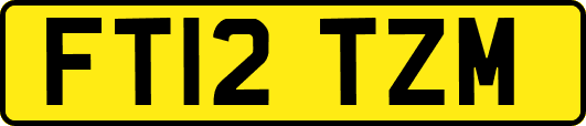 FT12TZM