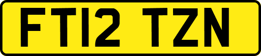 FT12TZN