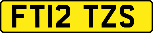 FT12TZS