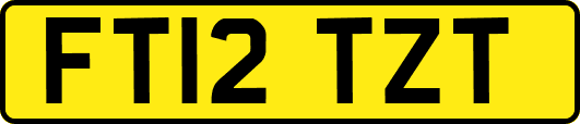 FT12TZT