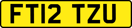 FT12TZU