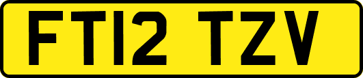 FT12TZV