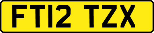 FT12TZX