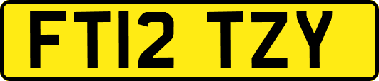 FT12TZY
