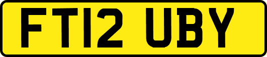 FT12UBY