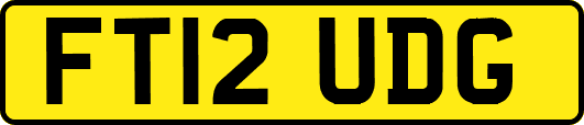 FT12UDG