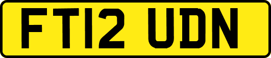 FT12UDN