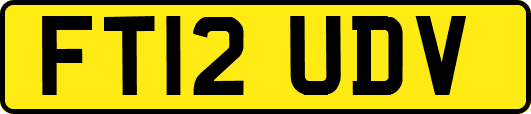 FT12UDV