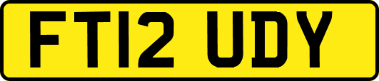 FT12UDY