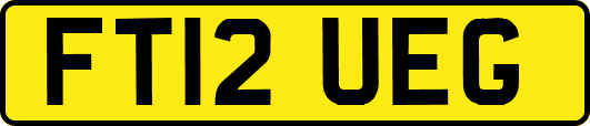 FT12UEG